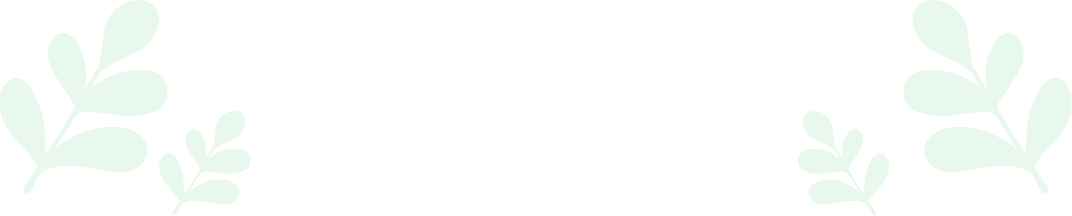 fondo